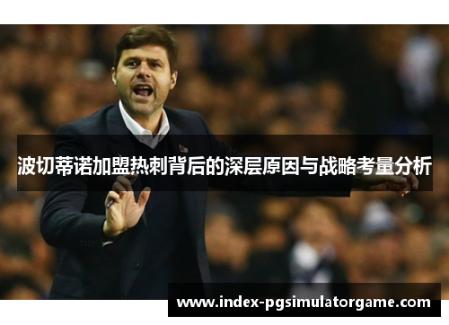 波切蒂诺加盟热刺背后的深层原因与战略考量分析