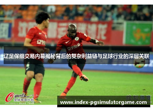辽足保级交易内幕揭秘背后的复杂利益链与足球行业的深层关联